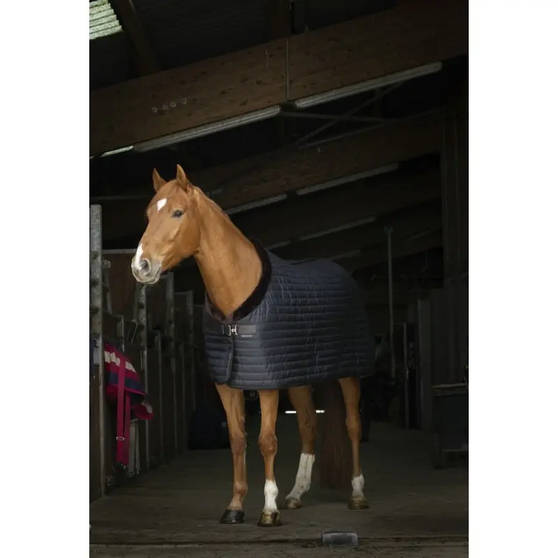Decke Equithème Teddy 0g Pferdedecken online kaufen Decke Equithème Teddy 0g Pferdedecken online kaufen