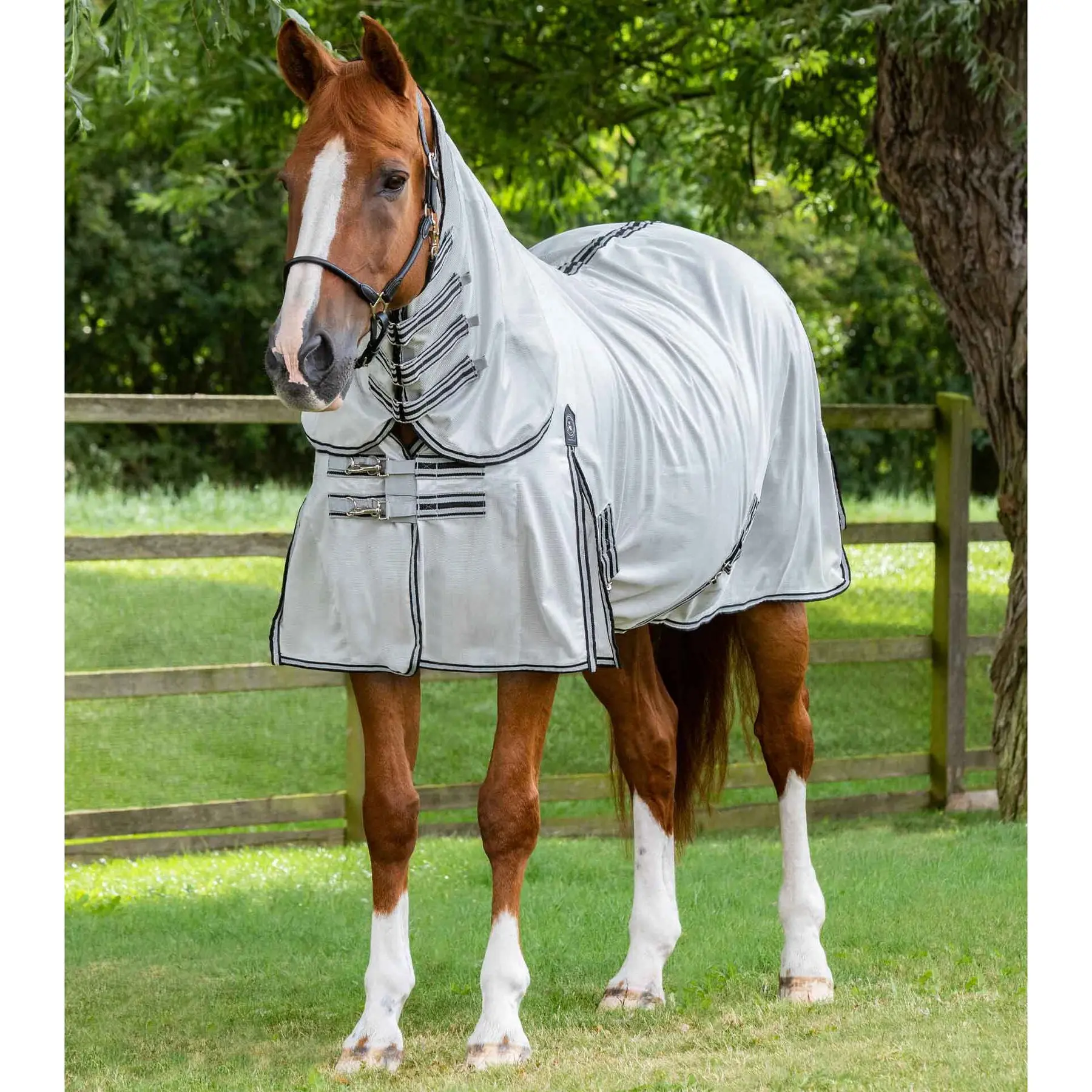 Fliegendecke Premier Equine Fly Lite Fliegendecken Produktbild