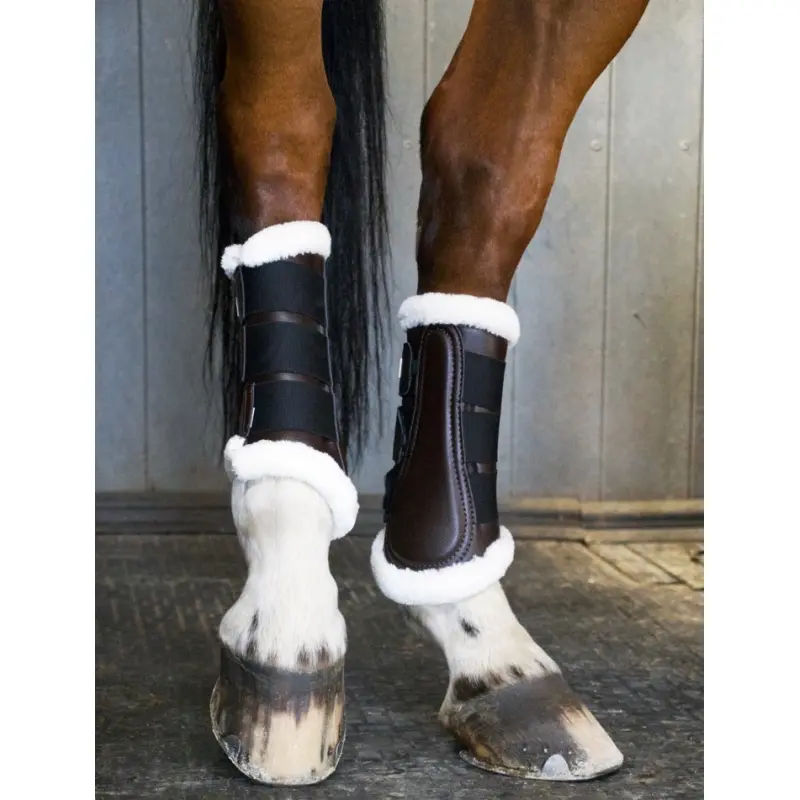 Gamaschen für das vordere Dressurpferd T de T "Training 22" Gamaschen online kaufen