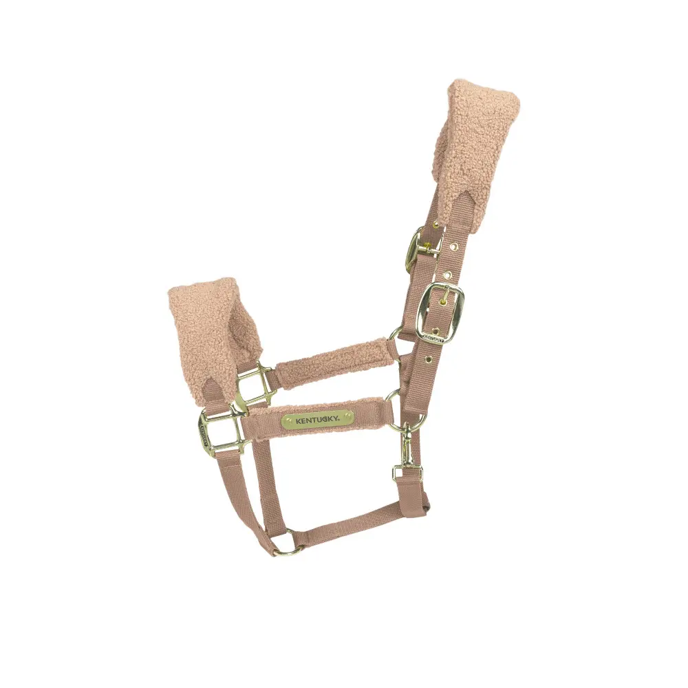 Halfter für Polarpferd Kentucky Teddy Halfter und Trensen online kaufen Halfter für Polarpferd Kentucky Teddy Halfter und Trensen online kaufen