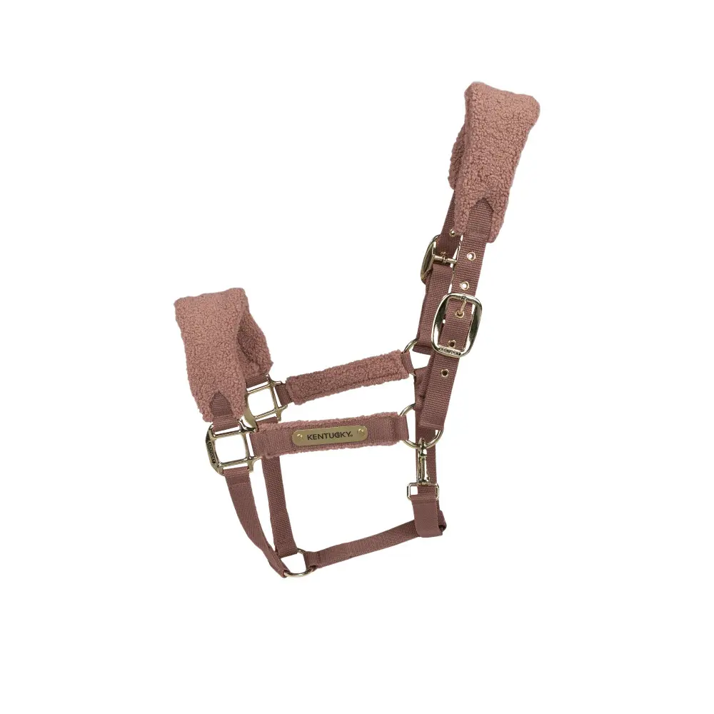 Halfter für Polarpferd Kentucky Teddy Halfter und Trensen online kaufen Halfter für Polarpferd Kentucky Teddy Halfter und Trensen online kaufen