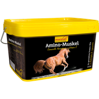 Marstall Amino Muskel 10kg sonstige Pferdeartikel online kaufen Marstall Amino Muskel 10kg sonstige Pferdeartikel online kaufen