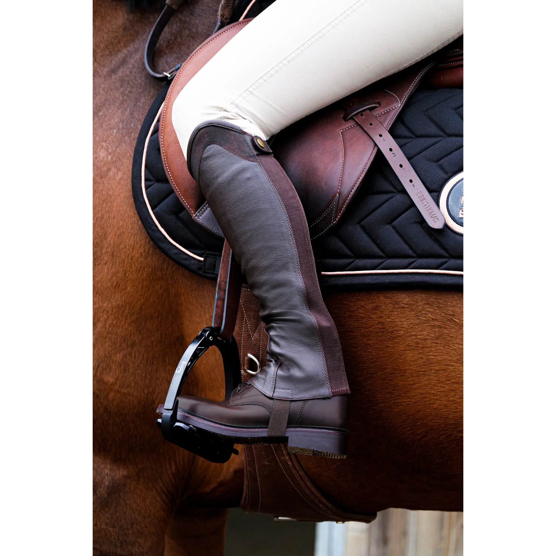Mini-Chaps aus Leder Equithème Sparkly Chaps online kaufen Mini-Chaps aus Leder Equithème Sparkly Chaps online kaufen